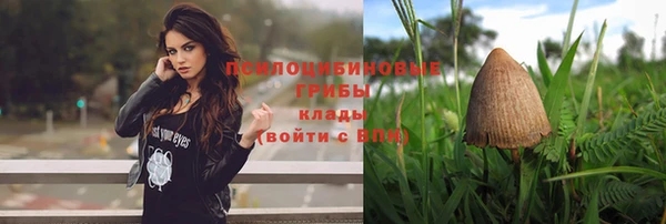spice Володарск