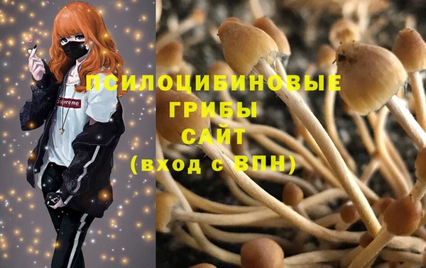 spice Володарск