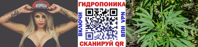 Шишки марихуана планчик  Купить закладки  Ахтубинск 